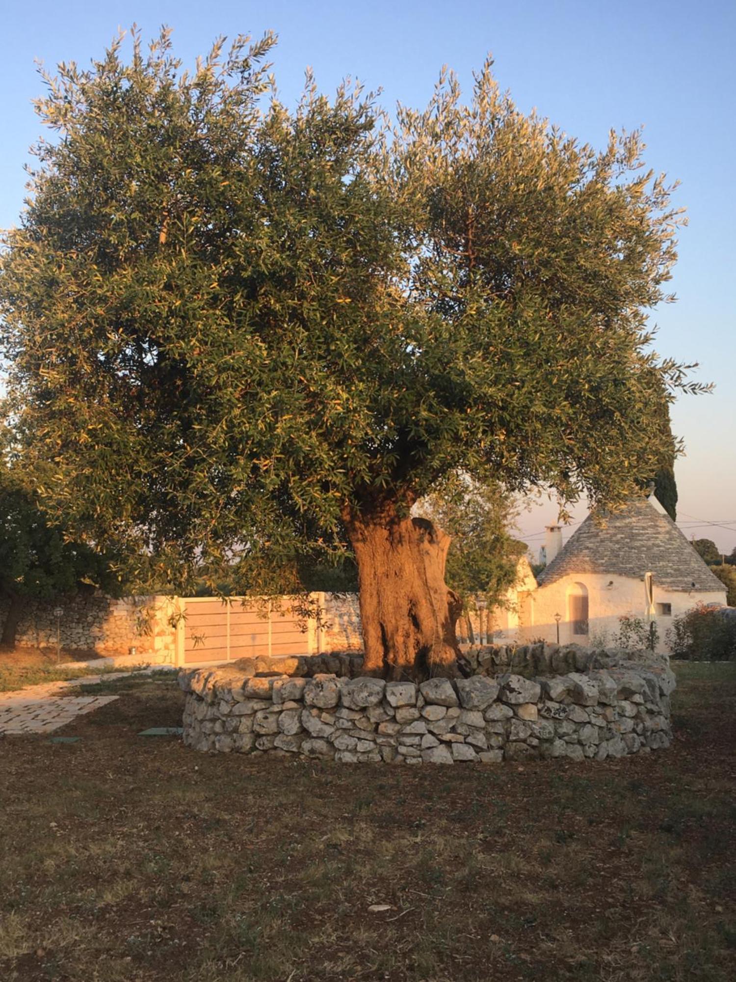 Vila Trulli Le 2 Nicchie Locorotondo Exteriér fotografie